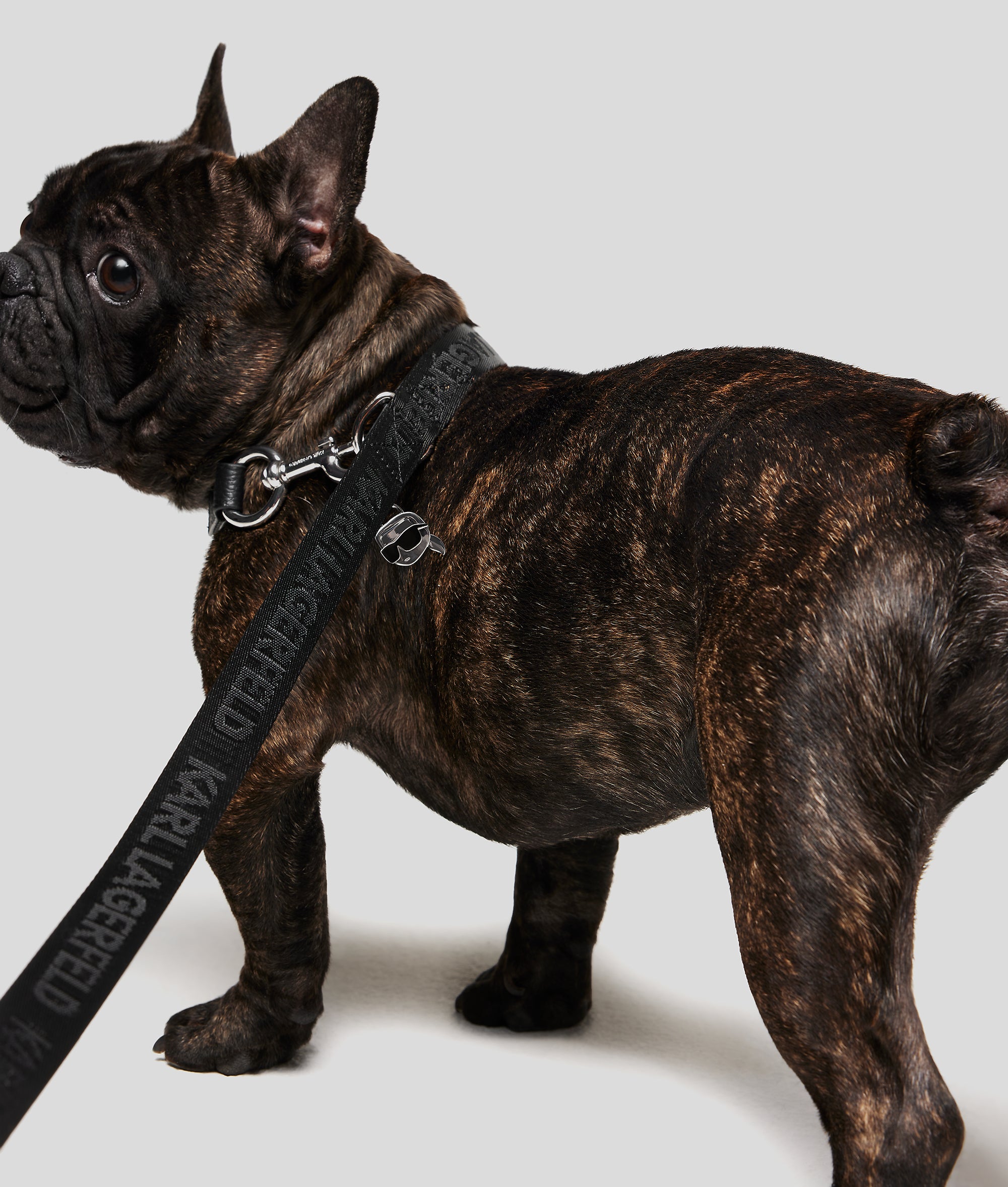 K/PET LEASH AND POUCH - Image 2